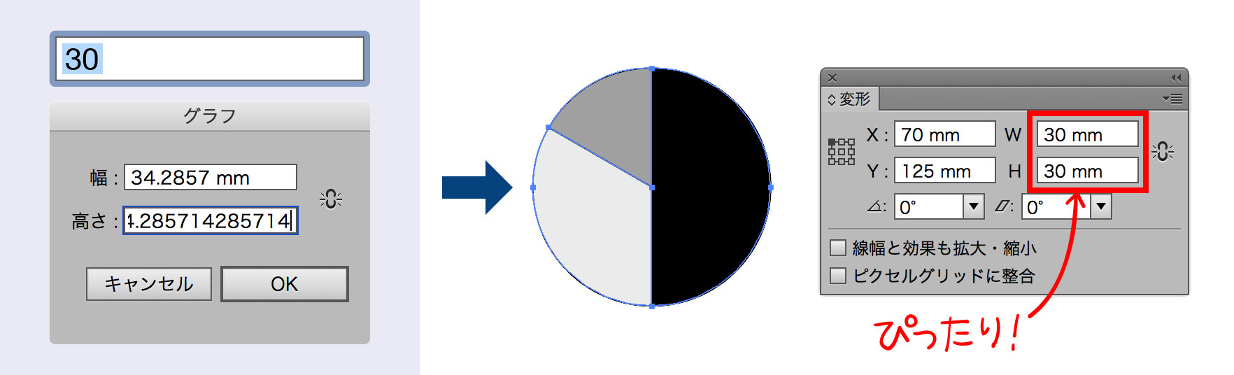 円グラフ準備スクリプト使用のイメージ図版